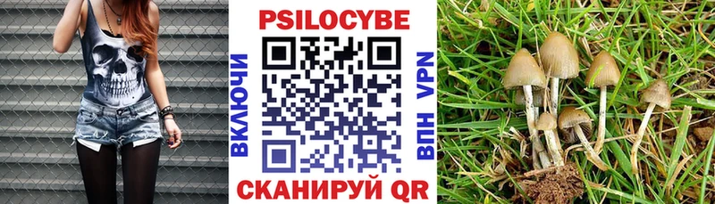 Псилоцибиновые грибы Cubensis  продажа наркотиков  Лесосибирск 